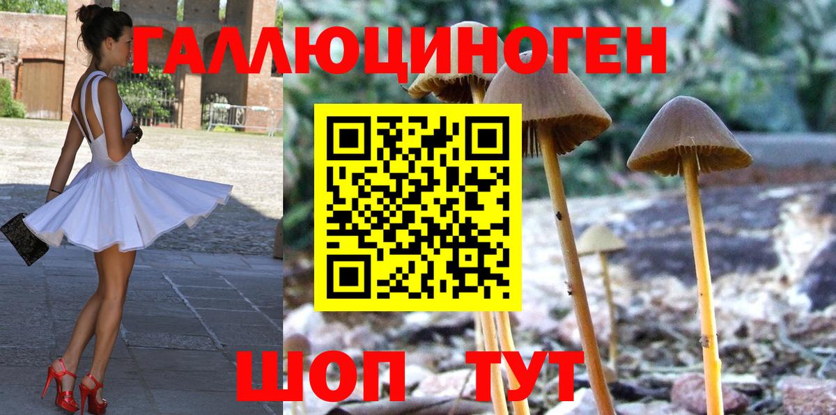 Галлюциногенные грибы Psilocybine cubensis  Вход с VPN  Лесозаводск 